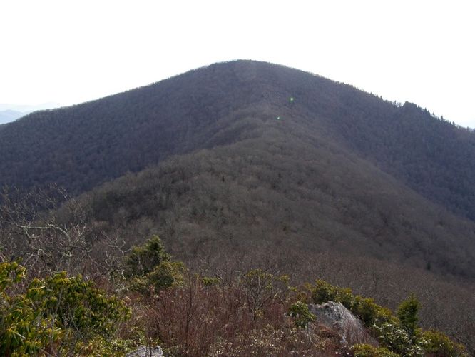 Picture 60 of Pinnacle Rocky Knob and Walkers Knob Hike