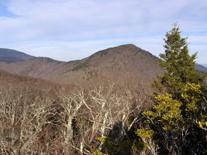 Picture 64 of Pinnacle Rocky Knob and Walkers Knob Hike