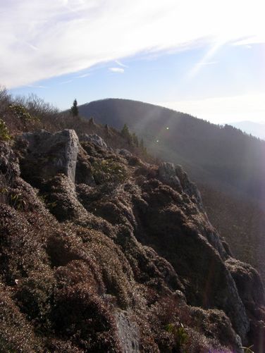 Picture 65 of Pinnacle Rocky Knob and Walkers Knob Hike