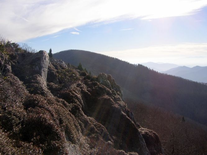 Picture 66 of Pinnacle Rocky Knob and Walkers Knob Hike