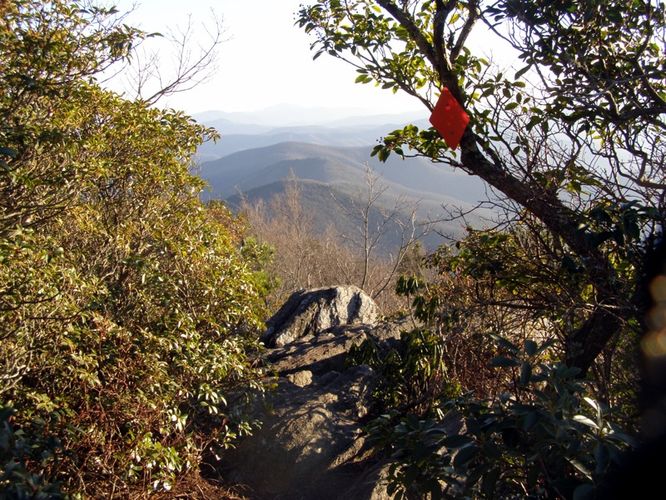 Picture 73 of Pinnacle Rocky Knob and Walkers Knob Hike