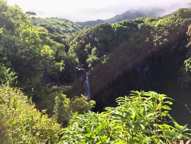 Picture 12 of Pipiwai Trail to Makahiku Falls
