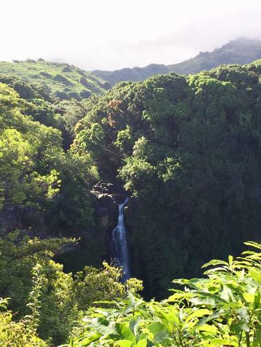 Picture 13 of Pipiwai Trail to Makahiku Falls