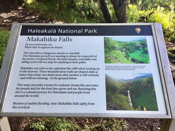 Picture 15 of Pipiwai Trail to Makahiku Falls