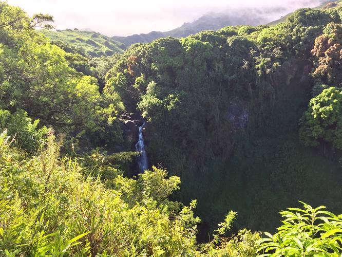 Picture 1 of Pipiwai Trail to Makahiku Falls