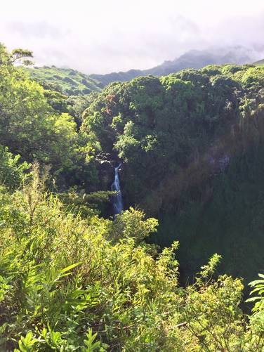 Picture 9 of Pipiwai Trail to Makahiku Falls