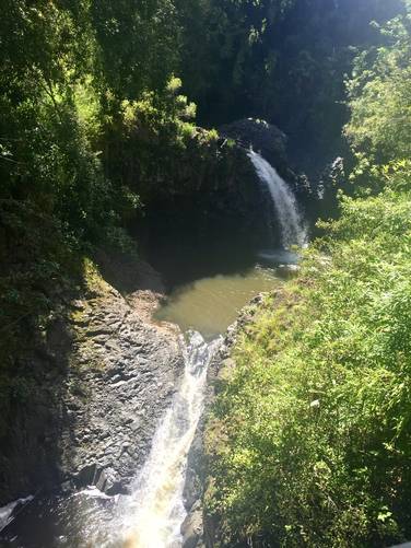 Waterfall cascades along the trail below footbridge