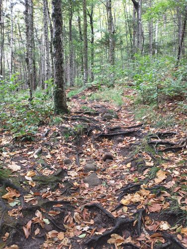 Trail substrate 