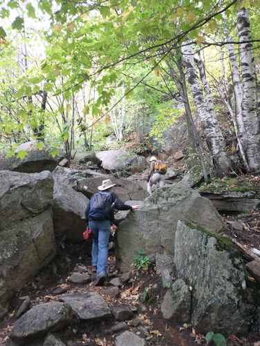 Rocky trail substrate 