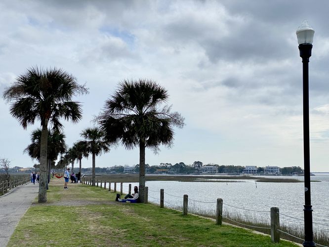 Walking the Pitt Street Bridge Trail