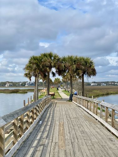 Scenic Pitt Street Bridg boardwalk