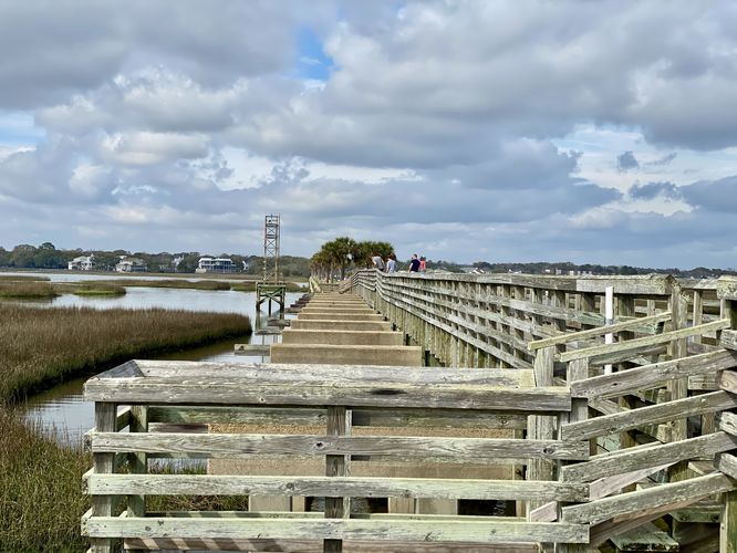 View from a fishing post on the Pitt Street Bridge