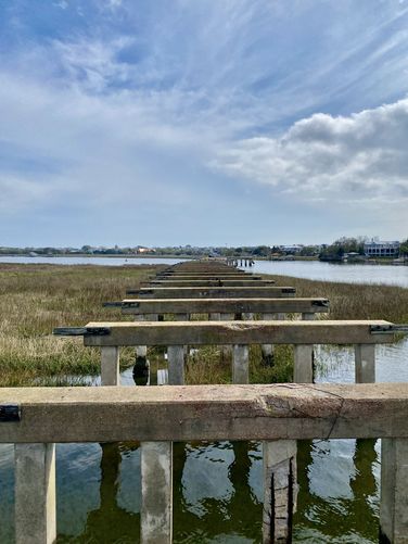 Remnants of the old Pitt Street Bridge