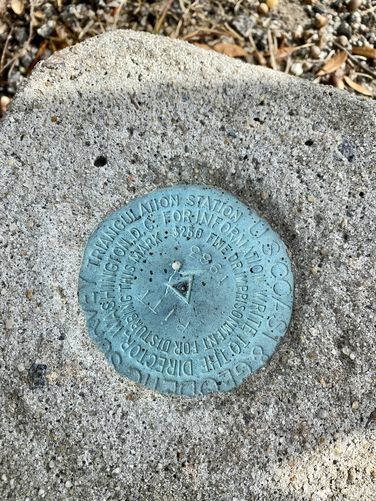 "Pitt" survey marker (1983)