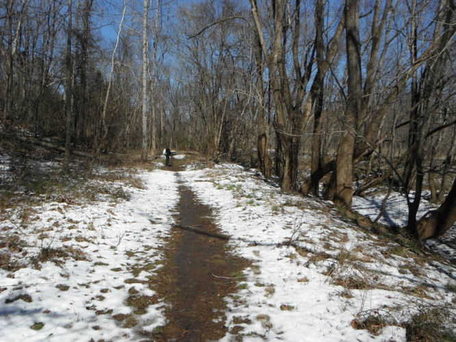 Picture 5 of Pleasant Grove Hike 030913