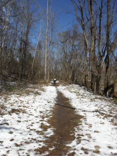 Picture 6 of Pleasant Grove Hike 030913