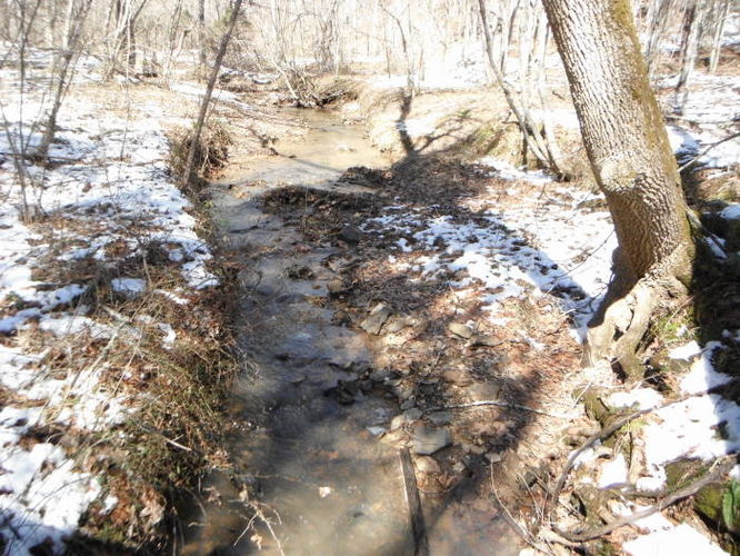 Picture 14 of Pleasant Grove Hike 030913