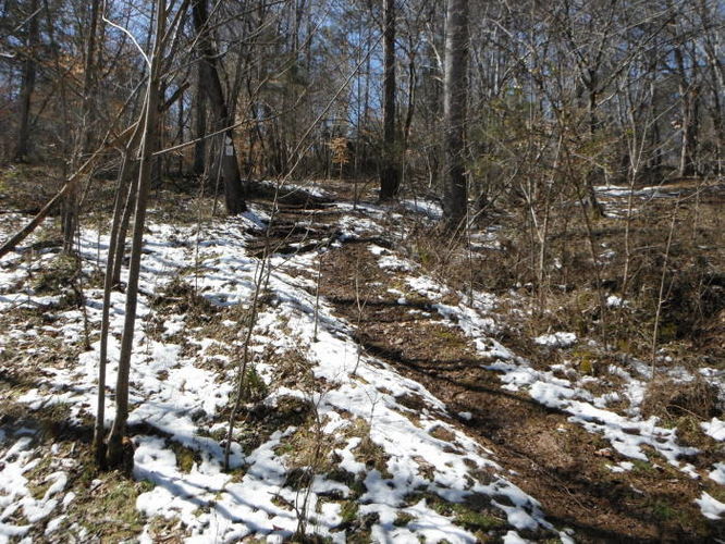 Picture 25 of Pleasant Grove Hike 030913