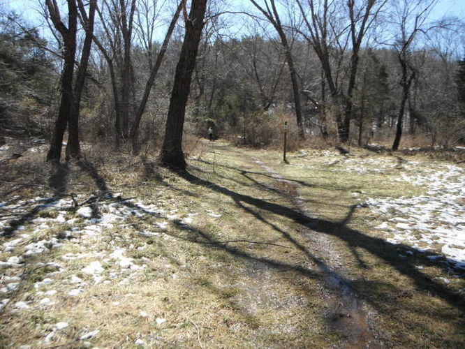 Picture 27 of Pleasant Grove Hike 030913