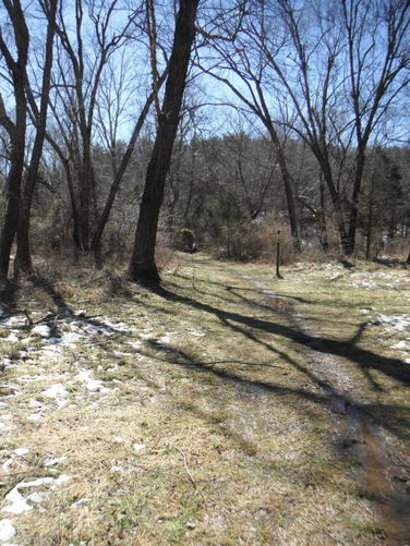 Picture 28 of Pleasant Grove Hike 030913