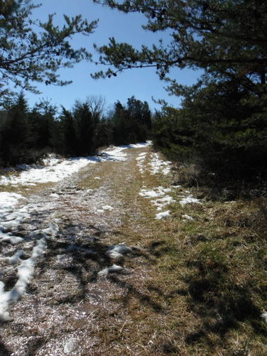 Picture 32 of Pleasant Grove Hike 030913