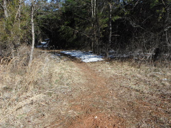Picture 39 of Pleasant Grove Hike 030913