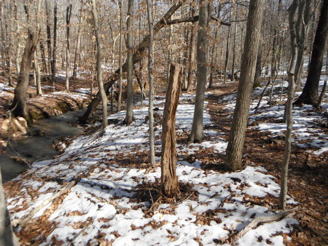 Picture 40 of Pleasant Grove Hike 030913