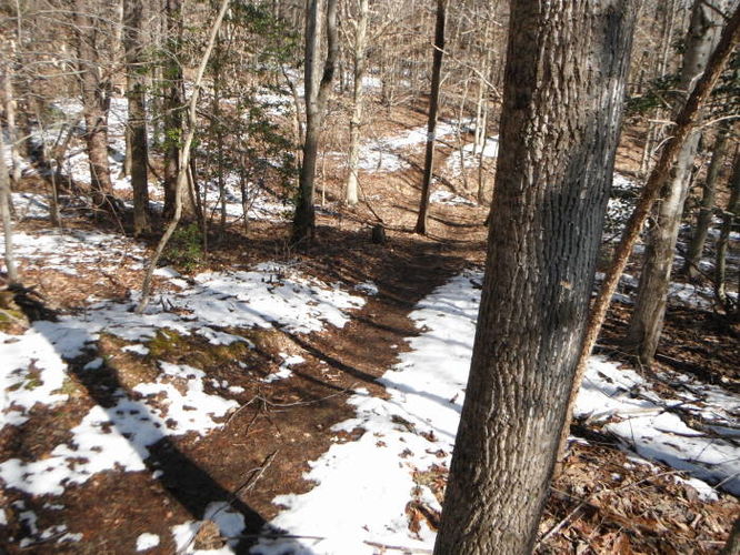 Picture 41 of Pleasant Grove Hike 030913