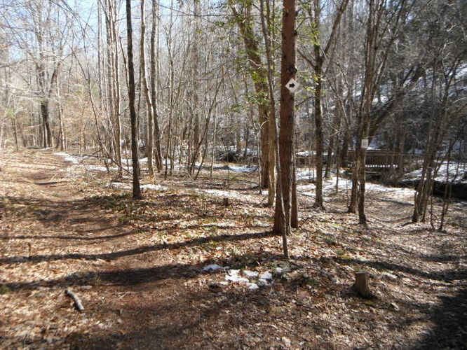 Picture 42 of Pleasant Grove Hike 030913