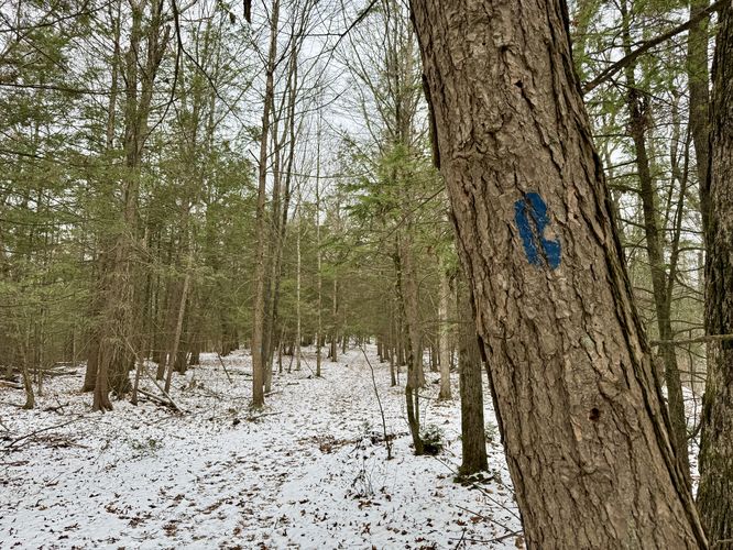 Blue blazes of the Pocumtuck Ridge Trail