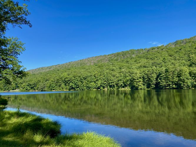 Default image for Poe Lake Trail, a 0.4-mile trail in Coburn, PA (US)