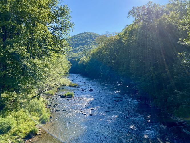 View of Penns Creek (east) from the bridge