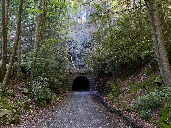 Default image for Poe Paddy Tunnel Trail, a 0.8-mile trail in Woodward, PA (US)