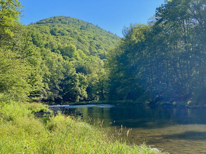 View of Penns Creek and Paddy Mountain