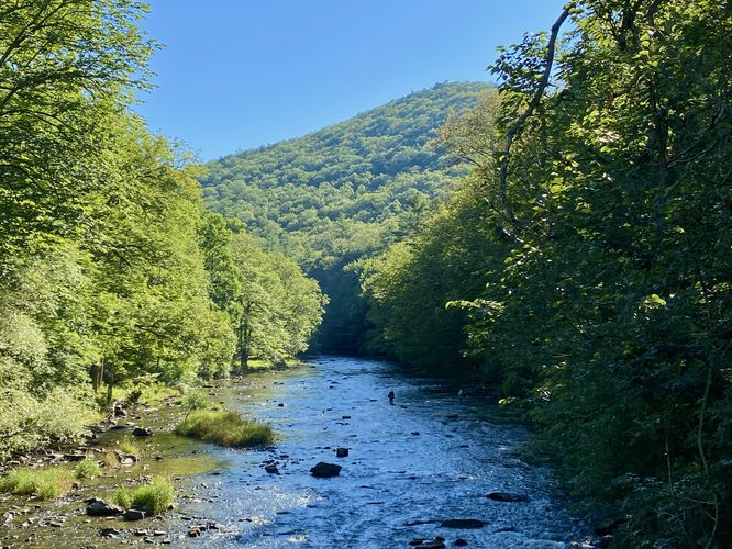 View of Penns Creek from the bridge