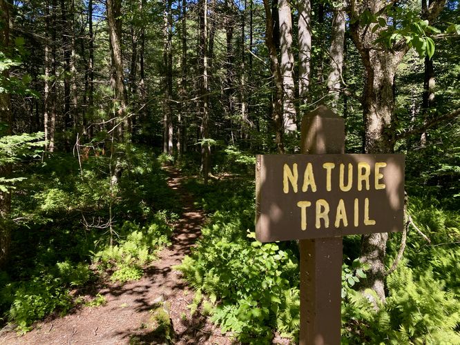 Default image for Poe Valley Nature Trail, a 0.9-mile trail in Coburn, PA (US)
