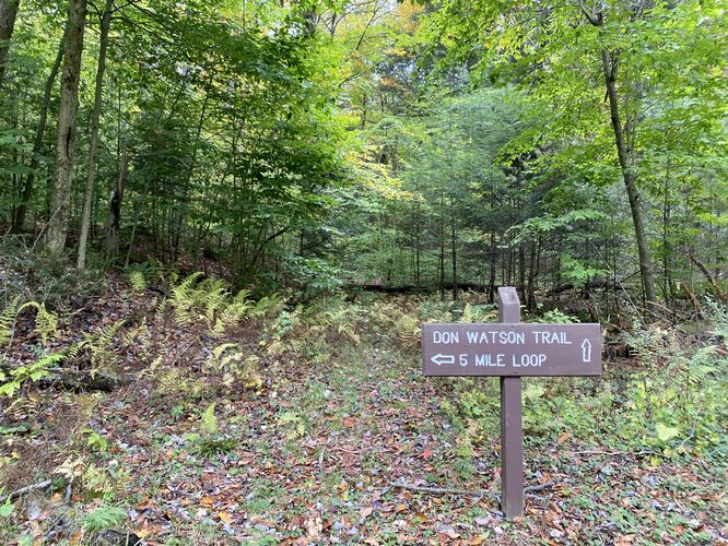 Don Watson Trail trailhead (leads to Porcupine Rock Lookout)