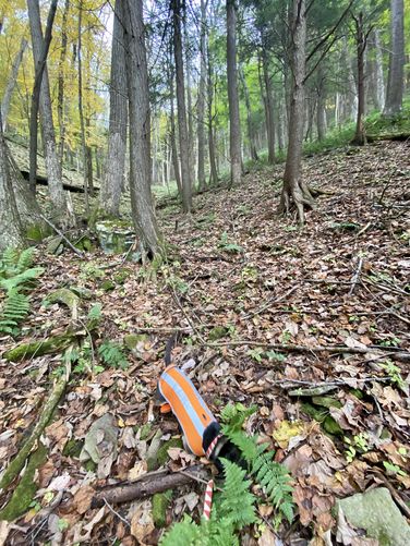 Steep terrain of the Don Watson Trail