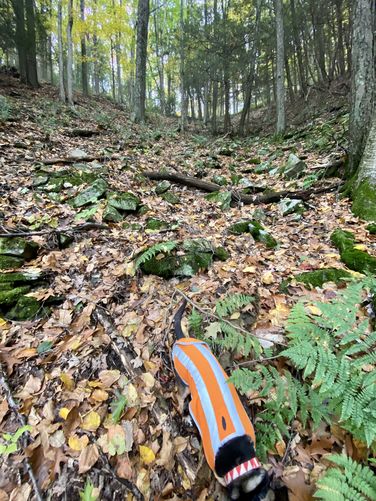 Super steep terrain of the Don Watson Trail