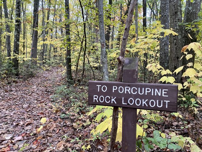 (Previous left) turn to Porcupine Rock Lookout