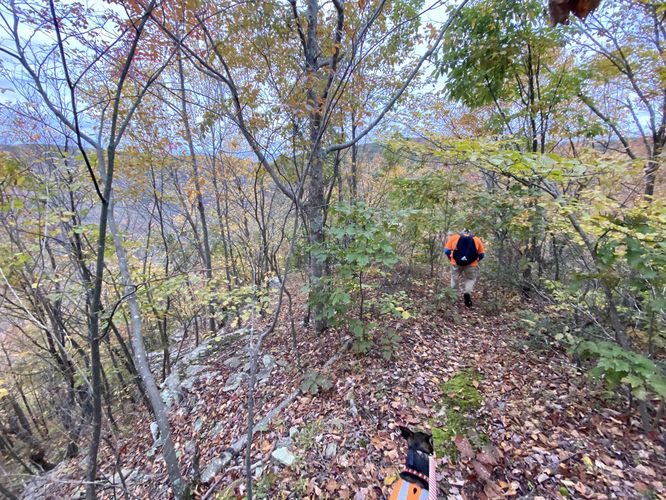 Dustin hiking down the trail to reach Porcupine Rock Lookout