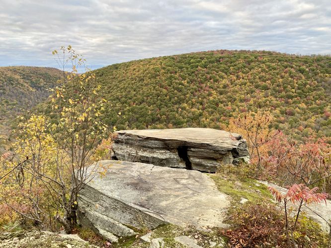 Porcupine Rock Lookout