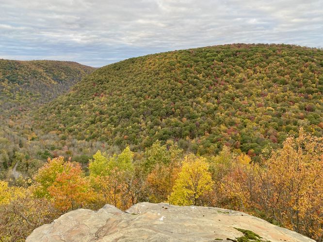 Porcupine Rock Lookout