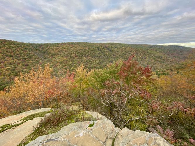 Porcupine Rock Lookout