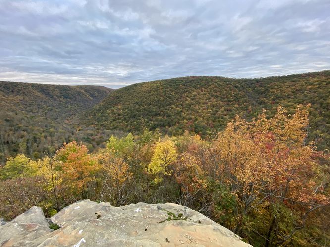 Porcupine Rock Lookout