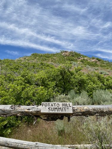 "Potato Hill Summit" sign points to the top of the hill