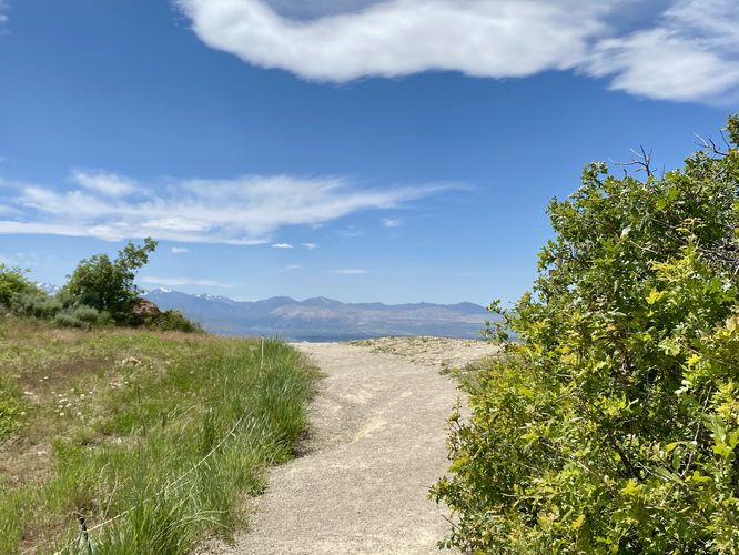Universally-accessible crushed stone pathway leads to the Potato Hollow Overlook