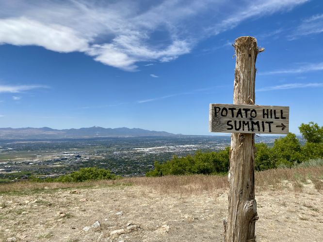 Turn to Potato Hill Summit Trail