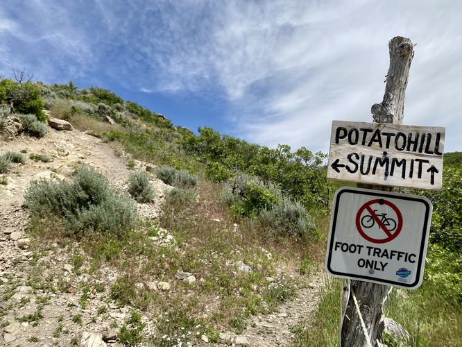Potato Hill Summit Trail, left-hand turn up a rugged hill