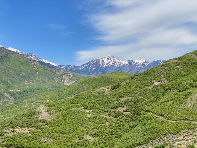 View of Box Elder Peak from the summit of Potato Hill